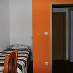 Maslic Split